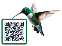 QR code design sample 1 - custom QR code with template